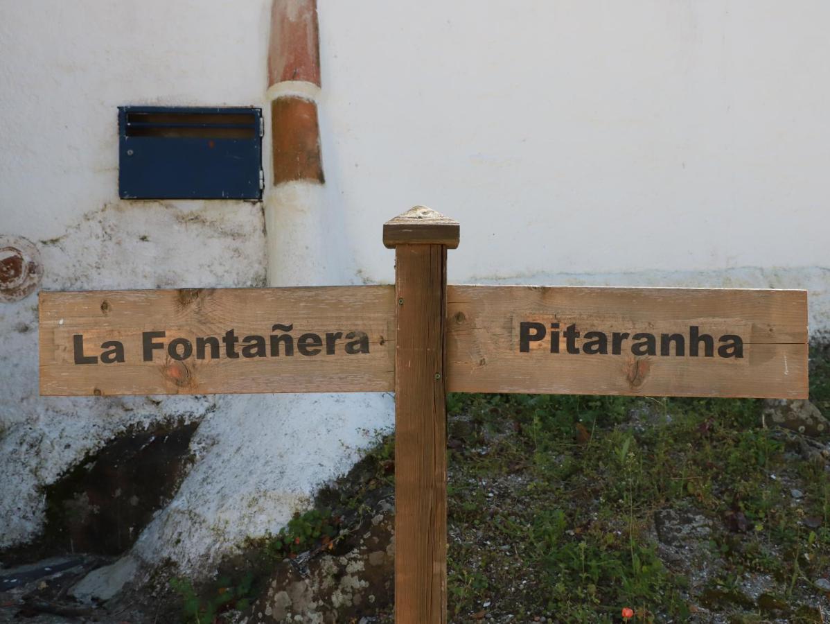 Casas Do Contrabando Bed & Breakfast Marvão Eksteriør bilde